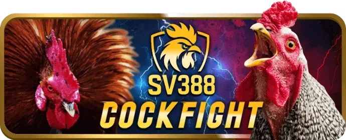Hình ảnh đại diện cho dịch vụ hỗ trợ khách hàng của bet8s