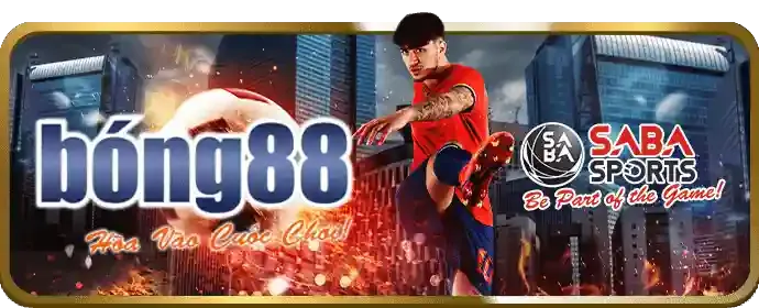 Đá gà trực tuyến sôi động